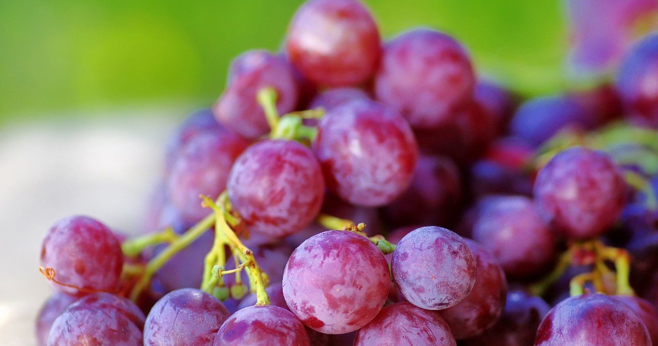 Cut the grape fruit against putting into the dough into quarters. Optionally, you can also remove stones from them. /123RF/PICSEL