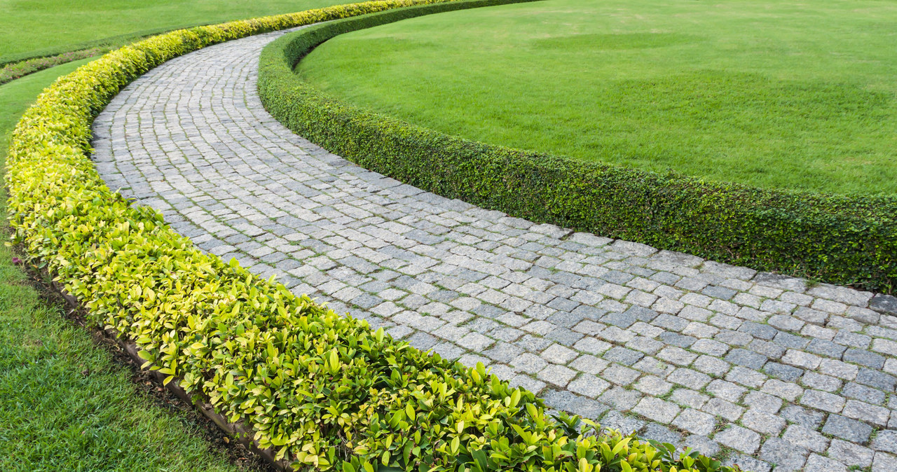 The paving stones should be regularly impregnated