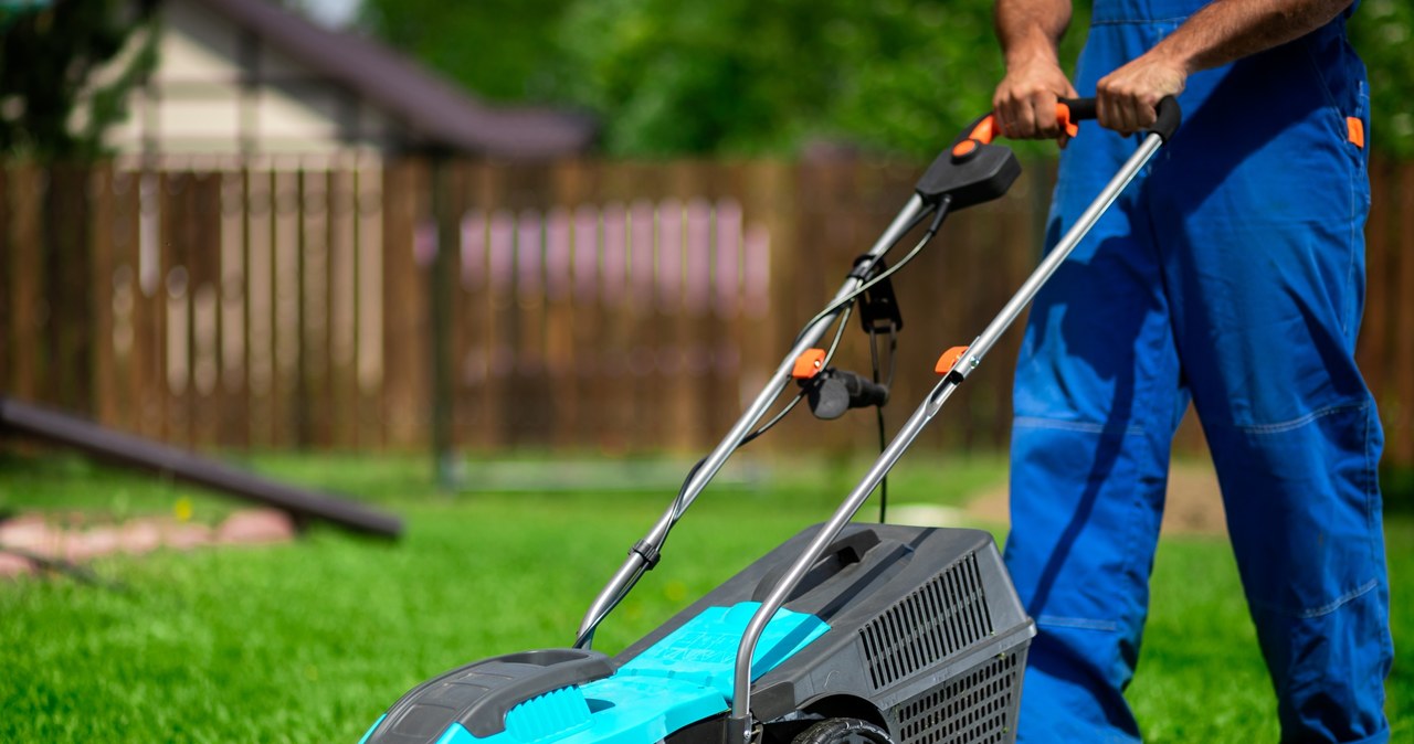 Mowing wet grass can contribute to the deterioration of its condition /123rf.com