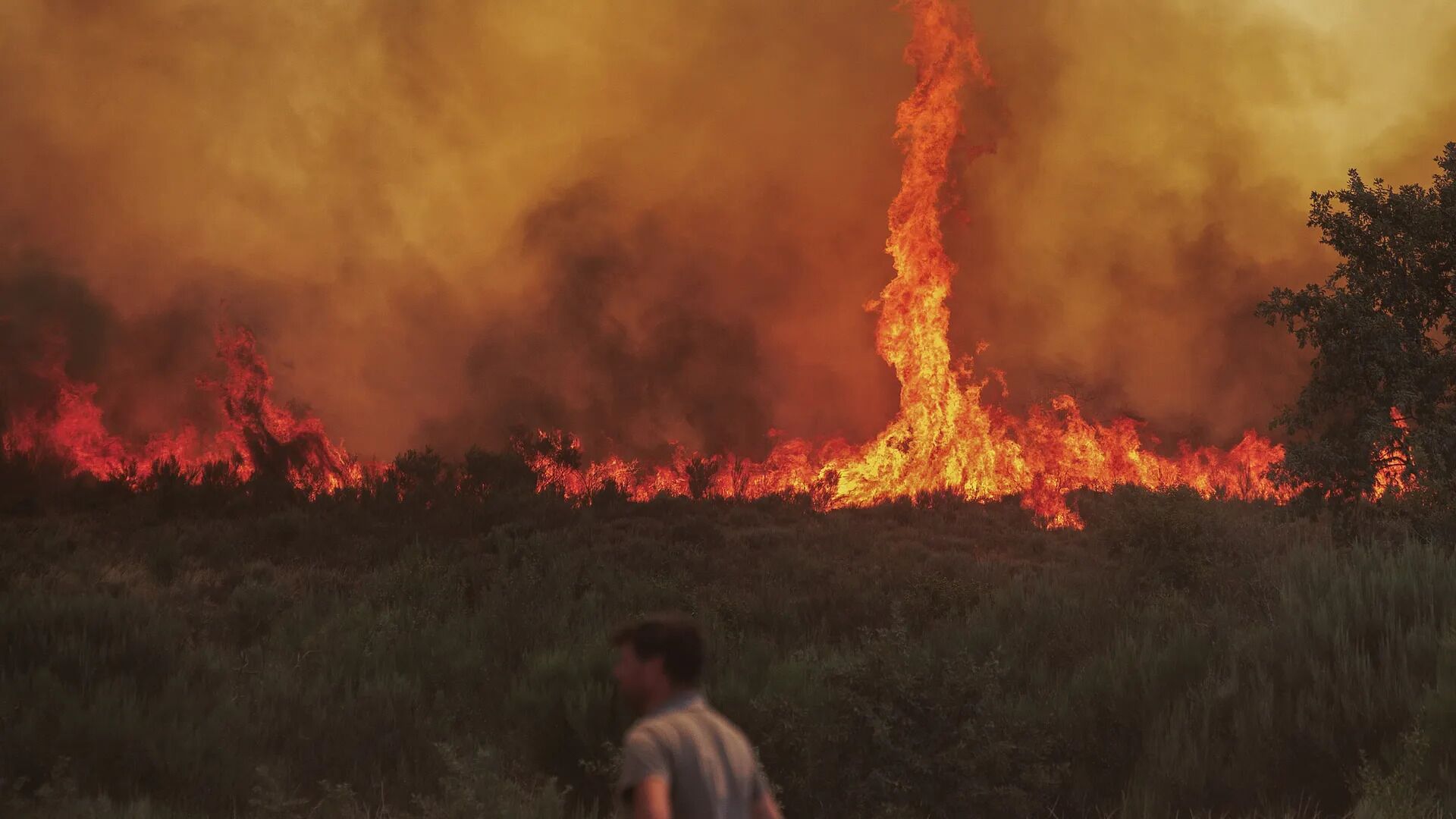 What is the rare tornado of fire that risen in the middle of the flames in Moimenta da Beira?