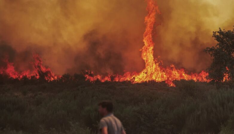 What is the rare tornado of fire that risen in the middle of the flames in Moimenta da Beira?