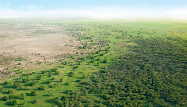 China's “green wall” would be the solution to desertification. Created a bigger problem