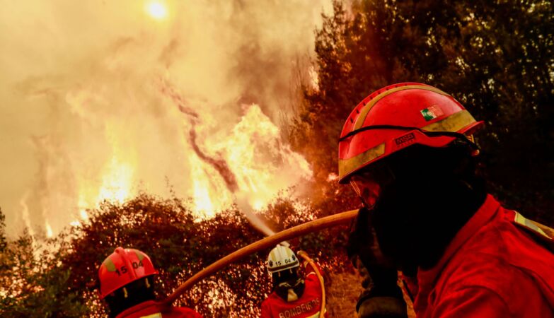 64 thousand hectares: Fire of Arganil was the largest ever in Portugal