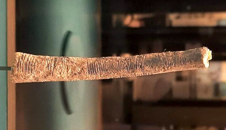 Humanity's first block of grade is a bone with 70,000 years - long before writing
