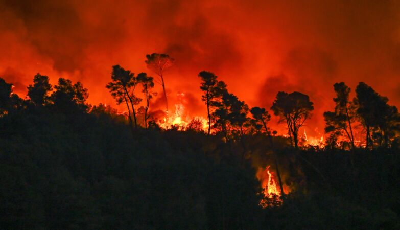 Fires: Being “sitting in Lisbon” does not serve. Government admits uncoordination