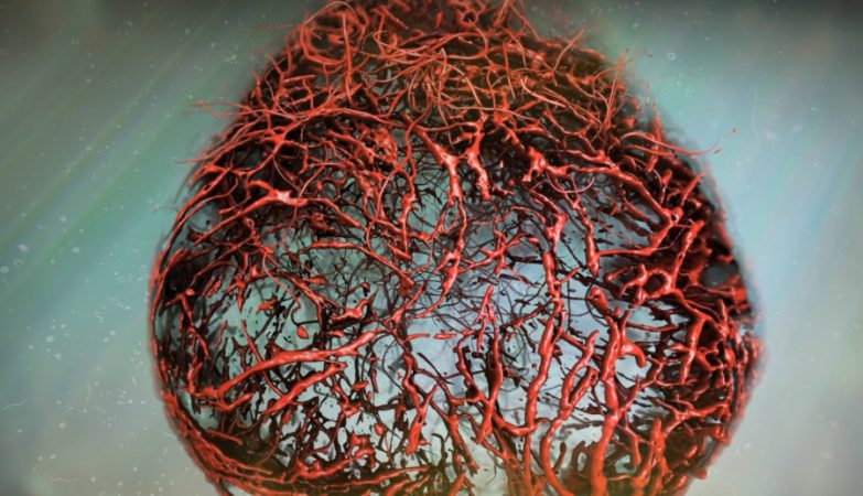 Covid can age the blood vessels. "It's very provocative"