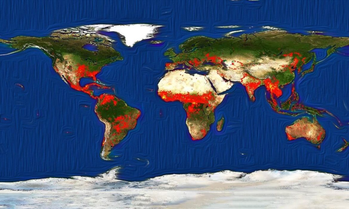 “Paradox of forest fires” tries to explain why the world is burning
