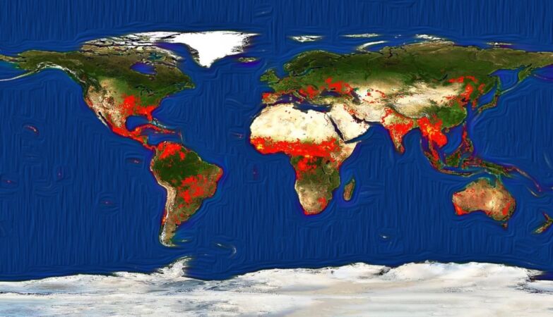 “Paradox of forest fires” tries to explain why the world is burning