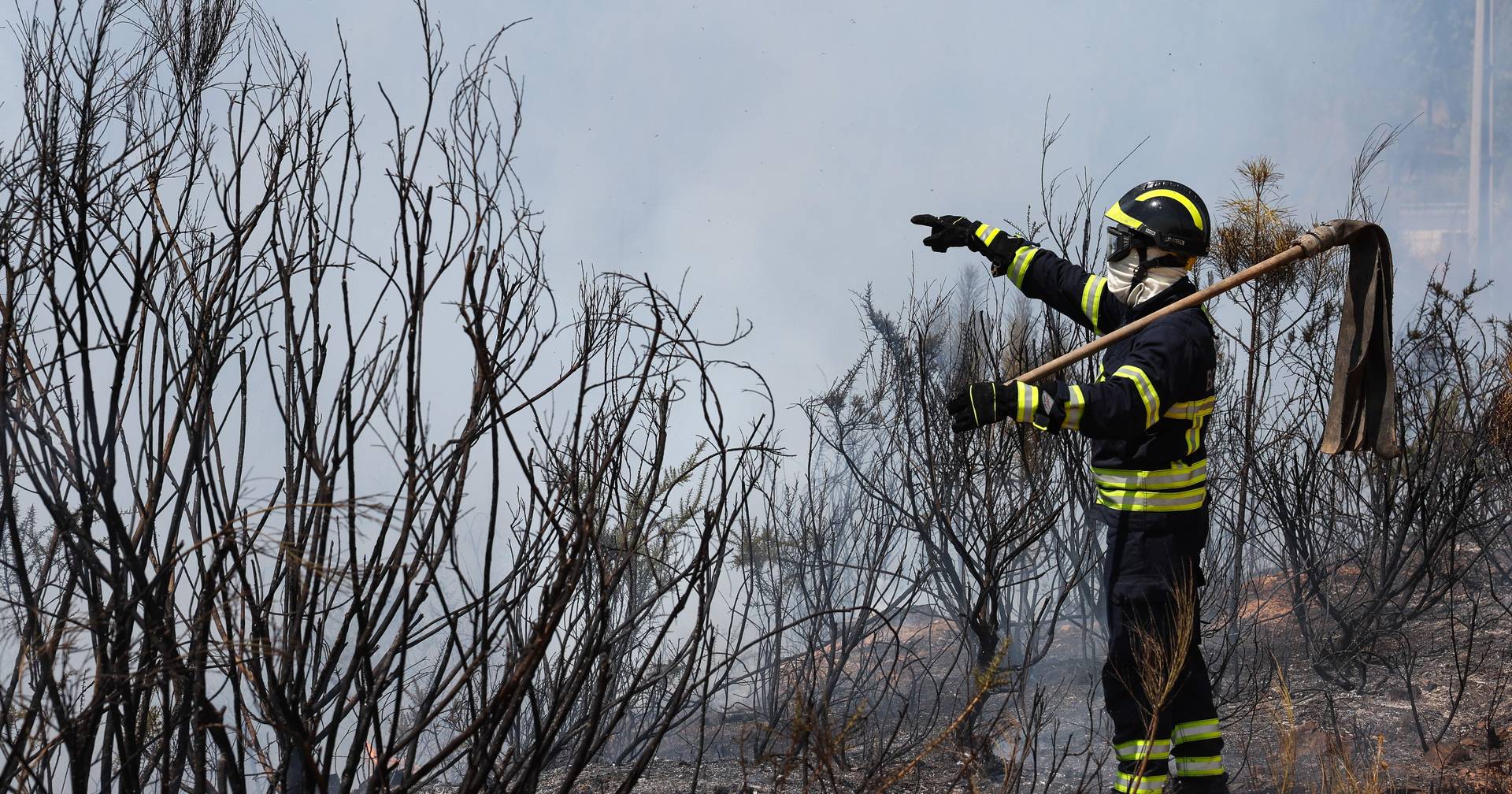 "Portugal without flames", the solidarity platform to help fire victims