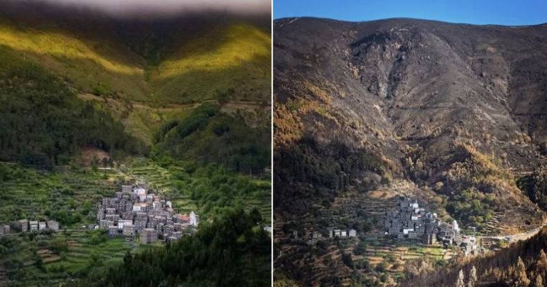 From green to black almost total: the before and after the fireworks in the Serra do Açor, in Piódão