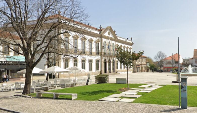 Estarreja is featured in The Times as “hidden gem”
