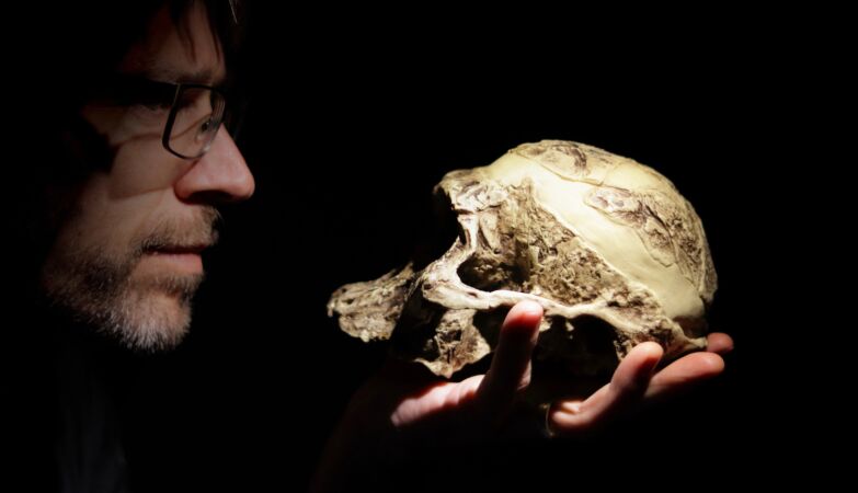 Our ancestors lived side by side with a mysterious hominid
