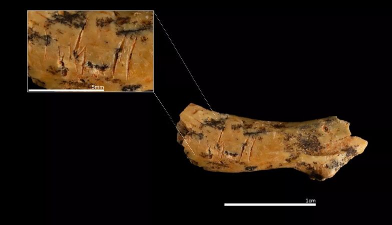 800,000 years ago archaic humans ate their children