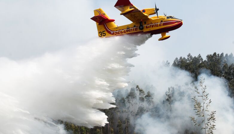Fires: After all, Sweden Airplanes arrive Monday. What was green became black - and there is no support