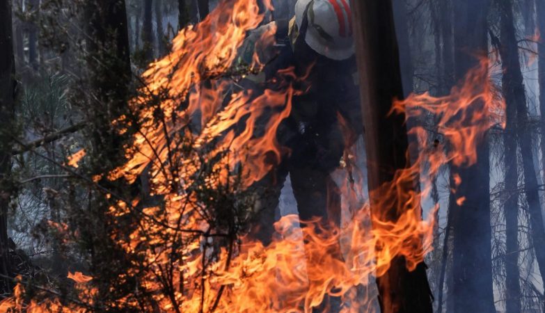 Teenager fired several fires in Minho. The school made him frustrated