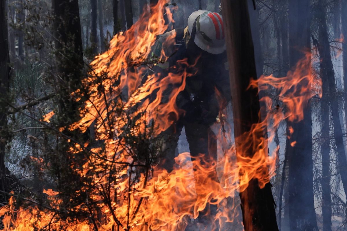 Teenager fired several fires in Minho. The school made him frustrated
