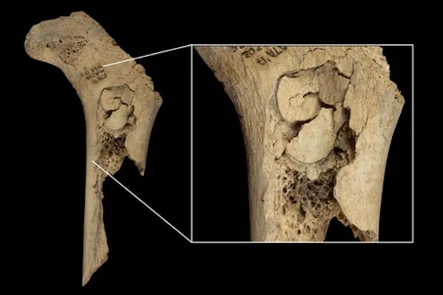 Bones found in Spain show signs of ancient cannibalism that decimated family of 11 people