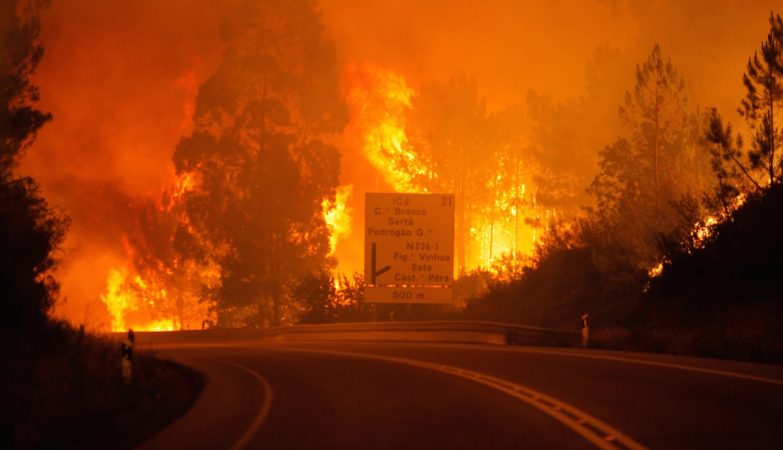 What to do if you are driving and there is a fire by the road. BRISA creates application