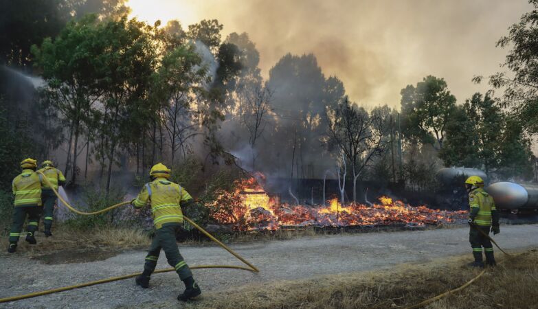 Fires: two mayors between “panic” and “I don't know what I can do”