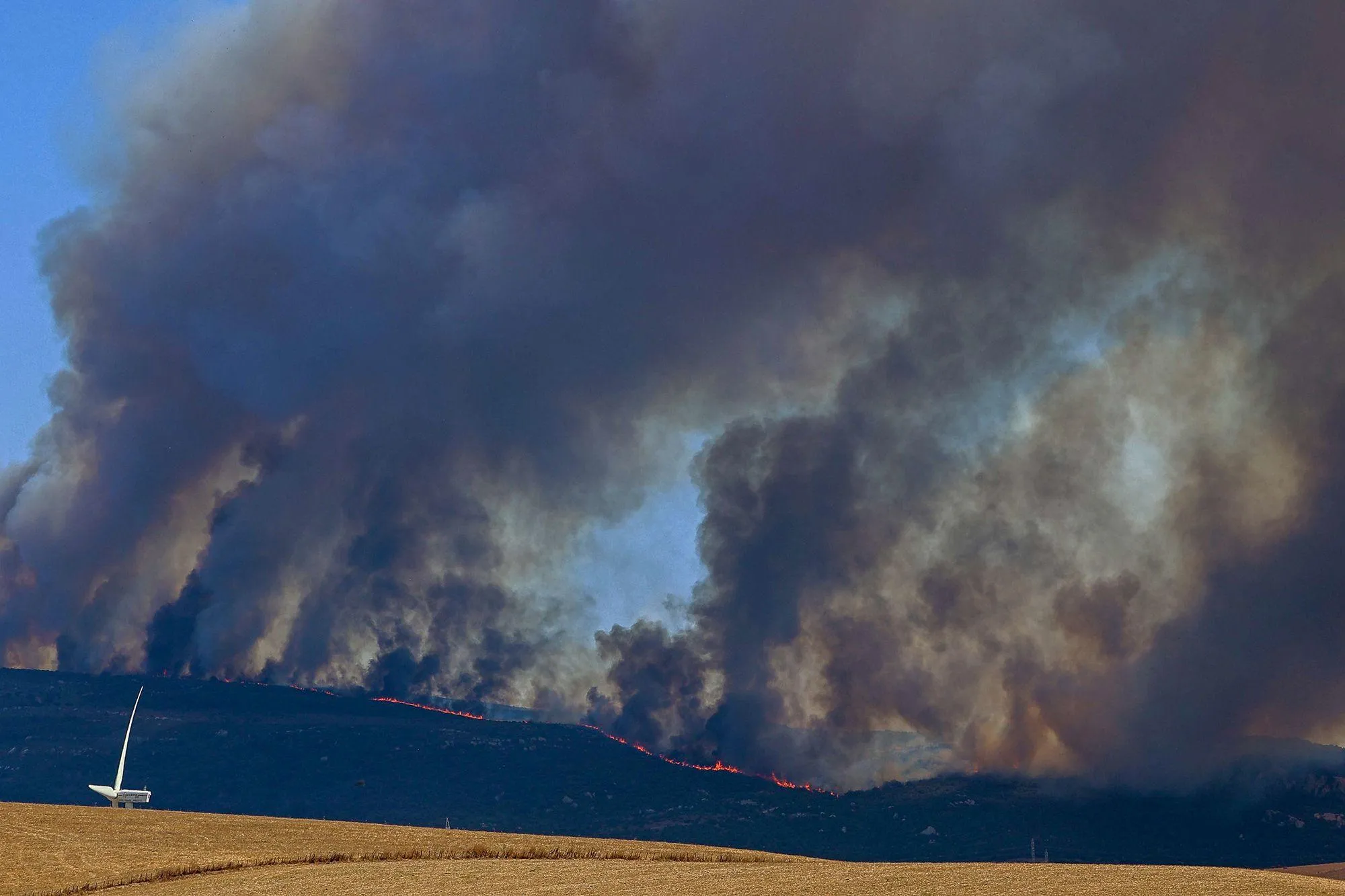 "We cannot continue to be burned on mild heat": criticism of the mayor of Vila Real have already arrived in the United States