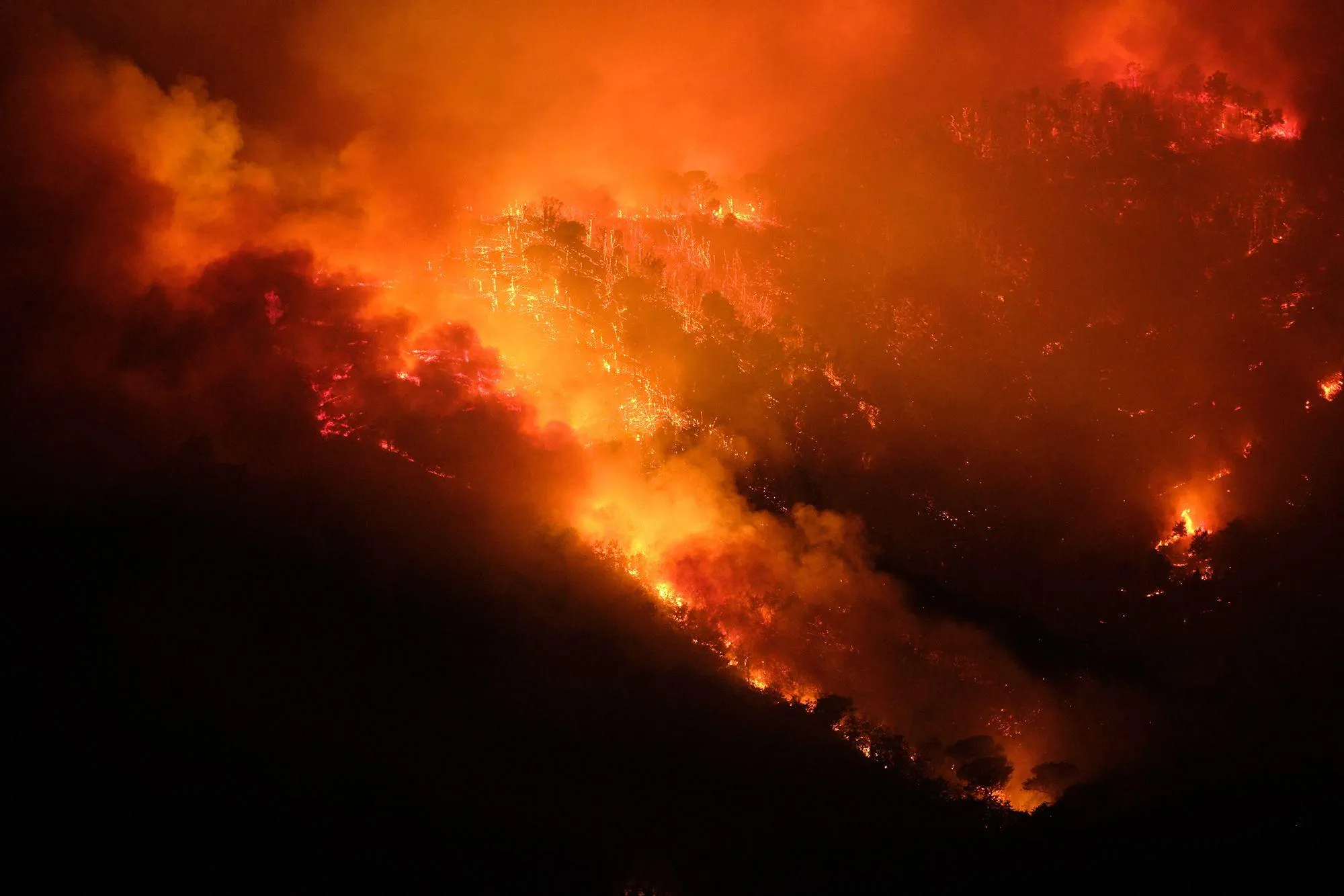 "We cannot continue to be burned on mild heat": criticism of the mayor of Vila Real have already arrived in the United States