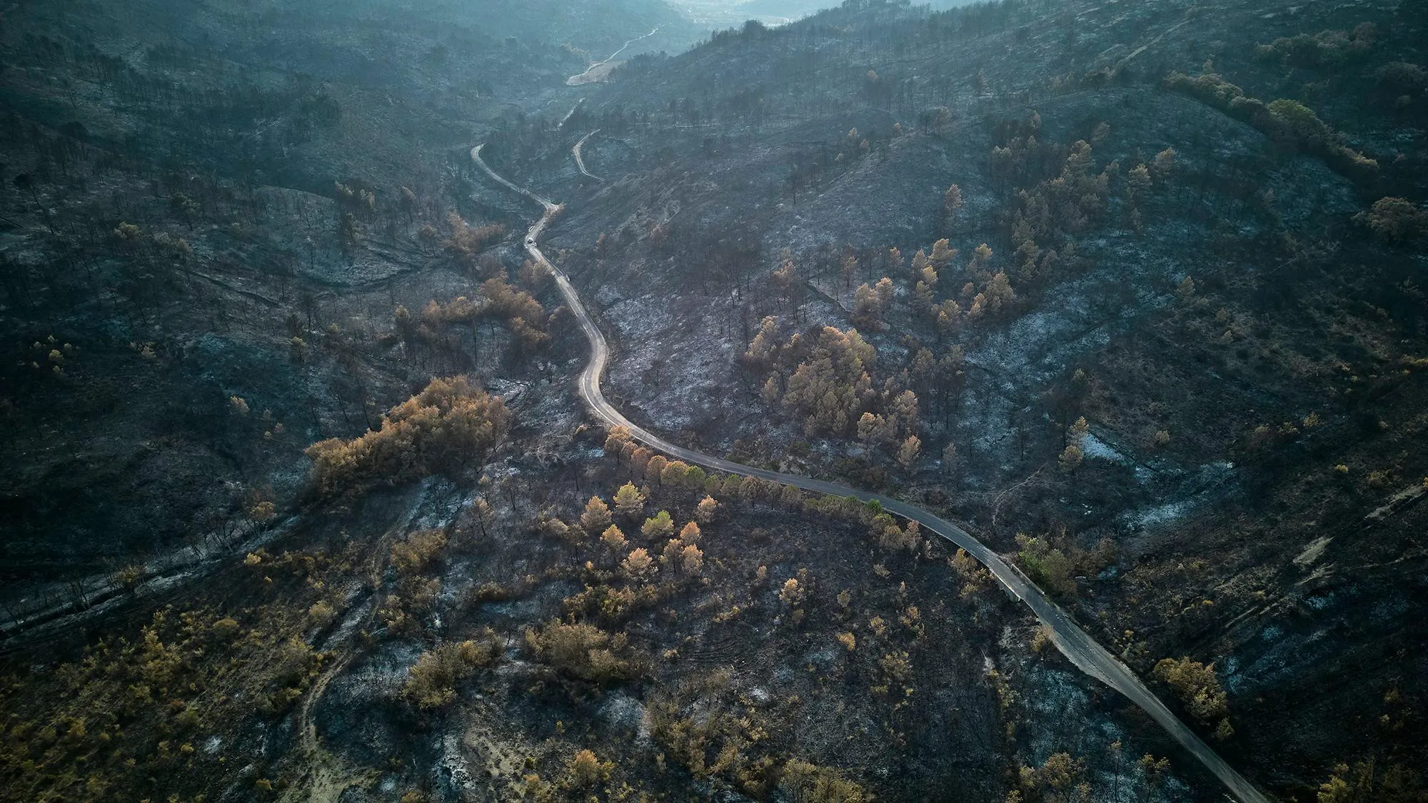 "We cannot continue to be burned on mild heat": criticism of the mayor of Vila Real have already arrived in the United States