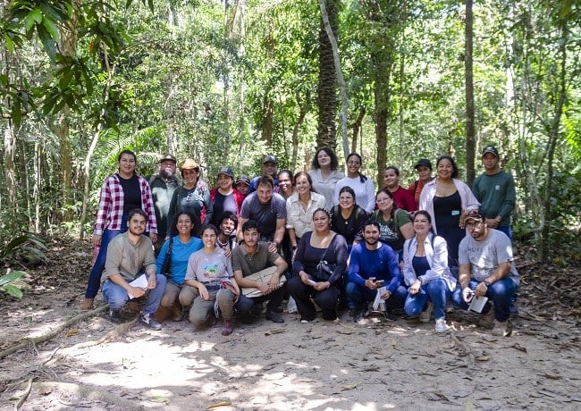 Collection and Herborization Course strengthens the documentation of the Amazonian sociobiodiversity