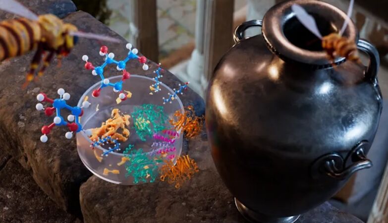 End of mystery with 70 years: the viscous liquid stored in pots with 2500 years is… Mel