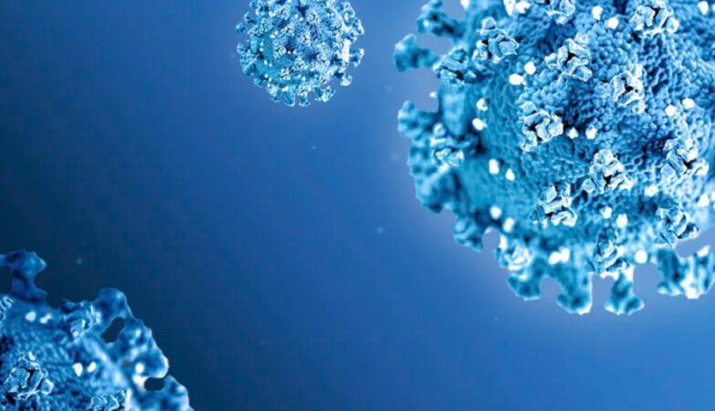 Scientist has discovered people immune to all viruses (and is trying to create universal antiviral)