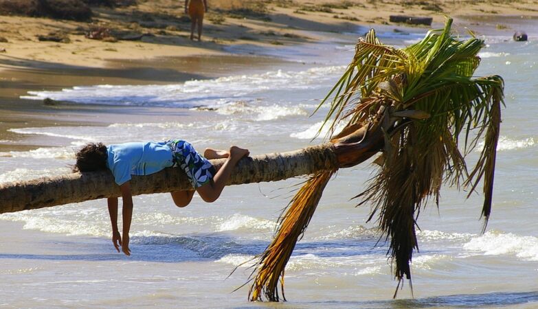 Because a beach day makes us so tired: if it didn't let it, we would be lizards