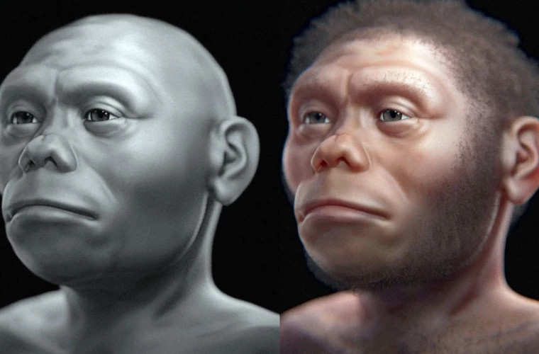 Discovery that rewrite the history of humanity: 1.5 million -year old tools of an unknown human species