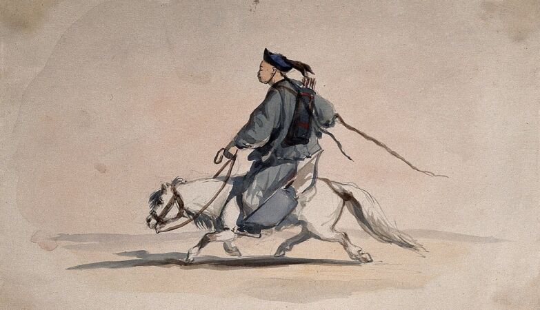 A single mutation spoiled life to horses - and changed that of humans forever