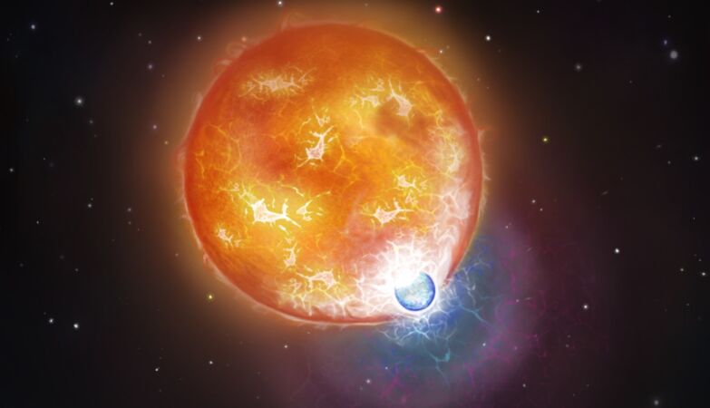 From the rare two -star collision was born an Earth's size star -size