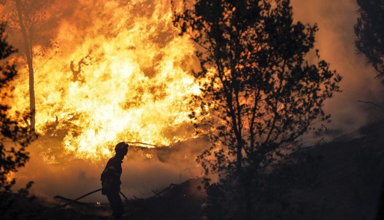 Fire of Arganil should be the largest ever in Portugal