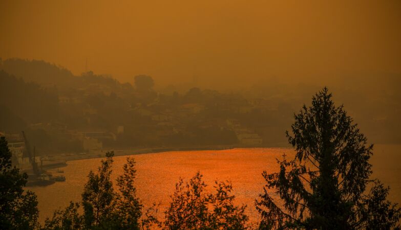 808 million euros for spending on fire management. "State has no desire to avoid them"