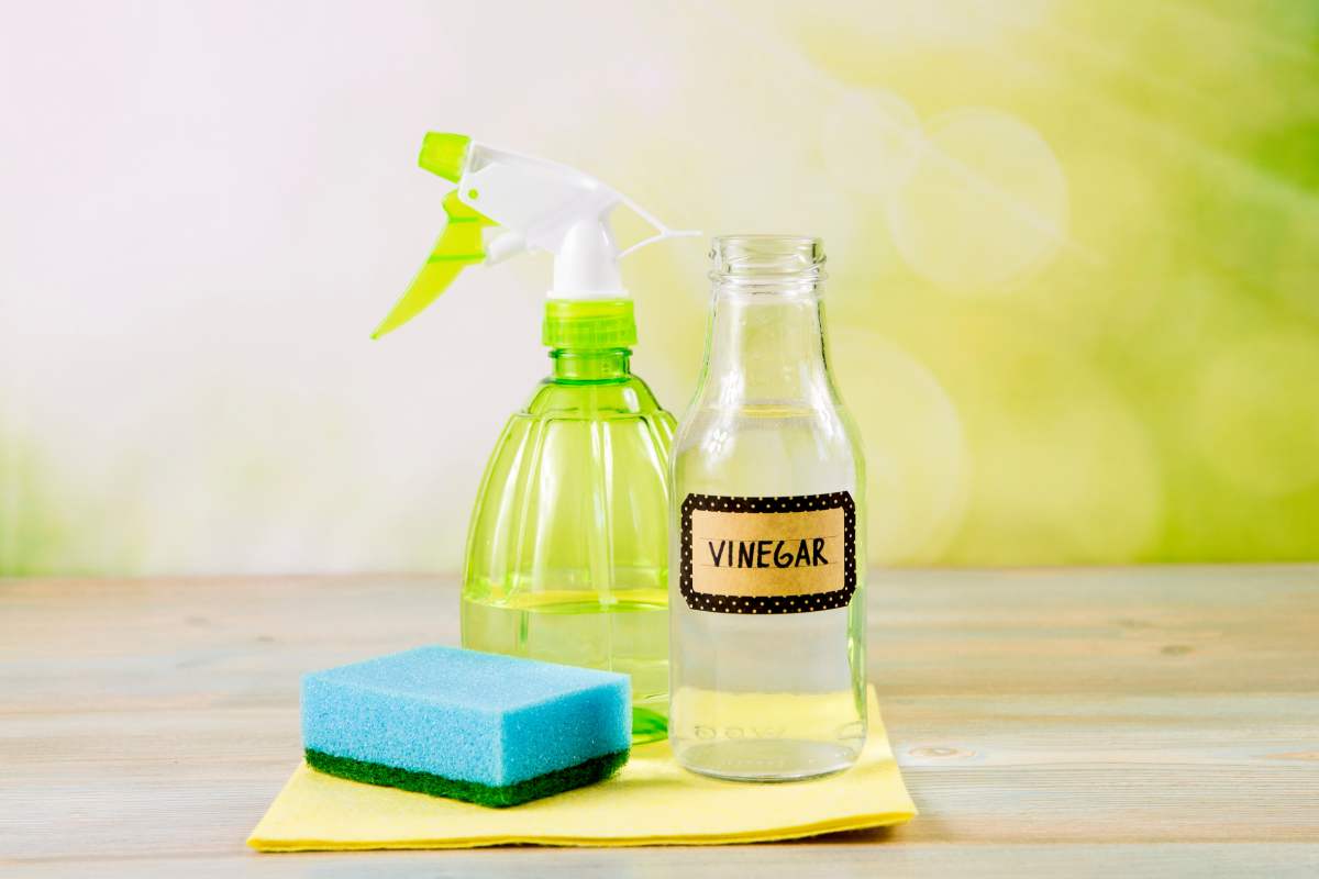 White vinegar to clean the home surfaces