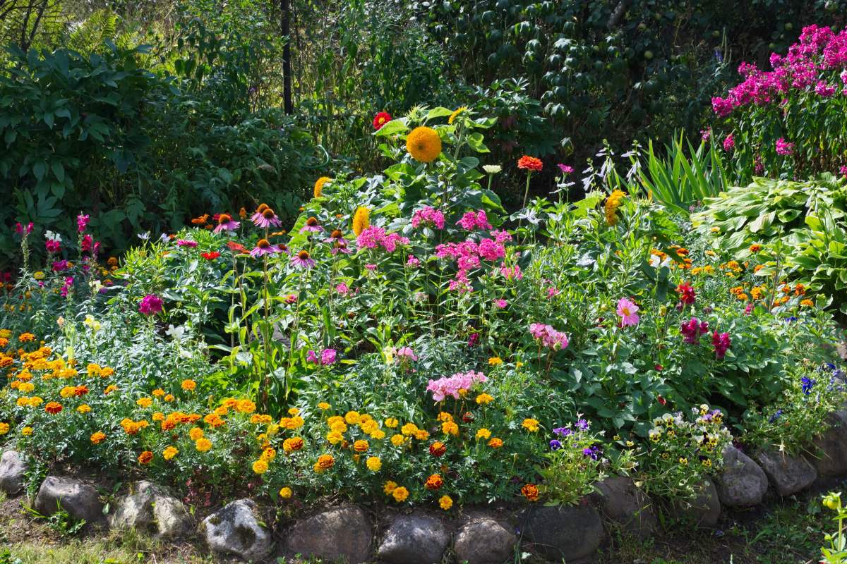 Here are the ideal plants for a September Obola that does not want too much maintenance