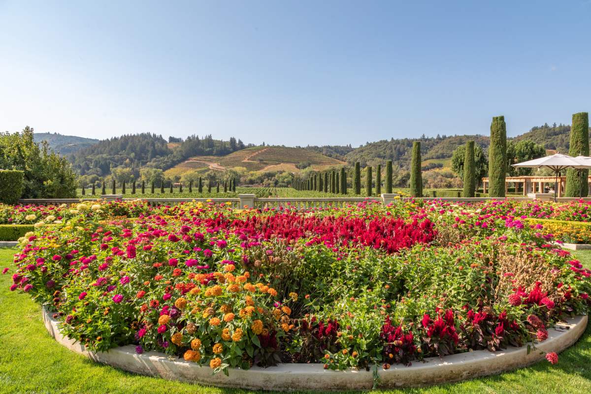 4 varieties of flower beds in August