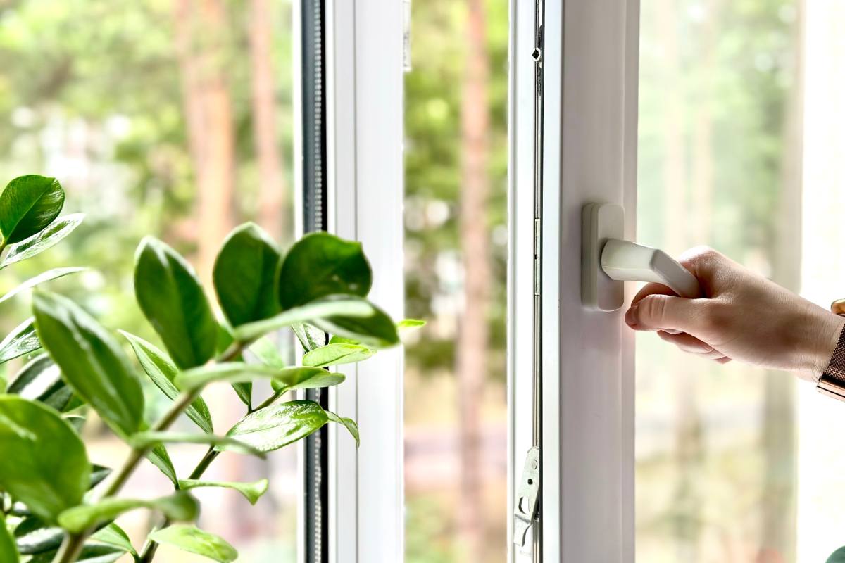 Cinnamon and other remedies against the humidity of furniture in summer