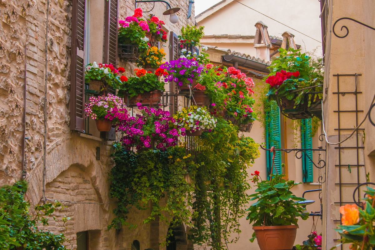 The flowers that color the balcony in September