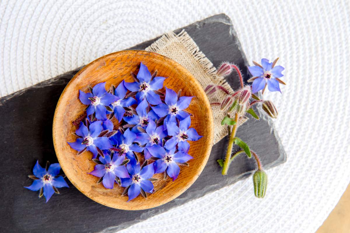 Flower herbs that add flavor and color to the dishes