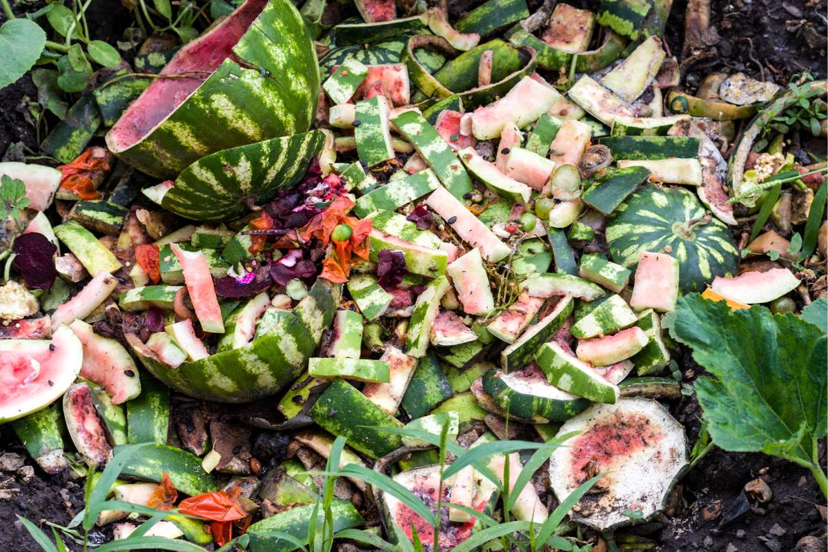 DIY fertilizers with fruit skins