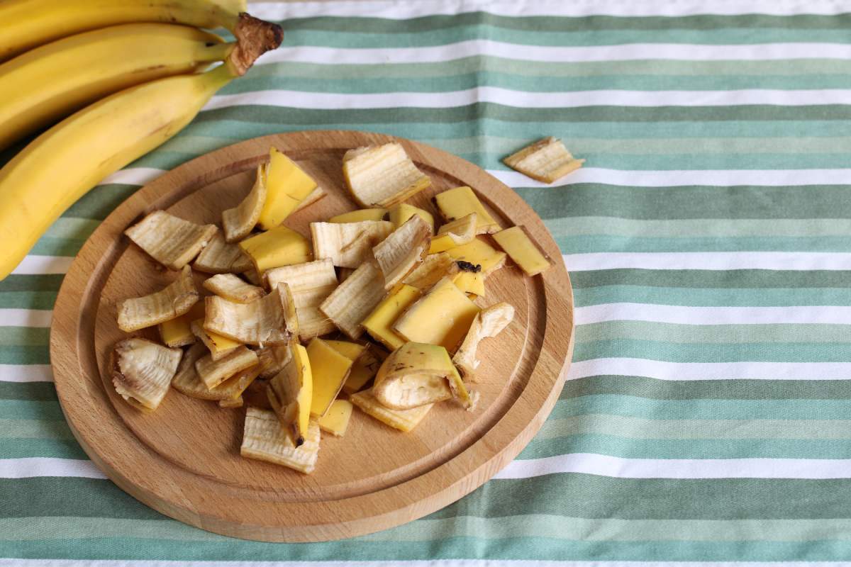 Ortensie and DIY fertilizers to flourish until September