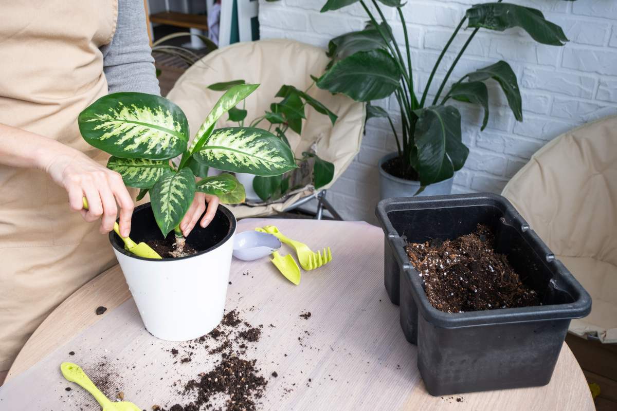 Retain slowly: here are the benefits