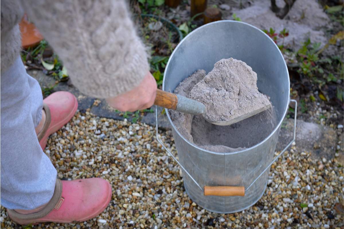 Here's how to use the ash of the barbecue to fertilize plants