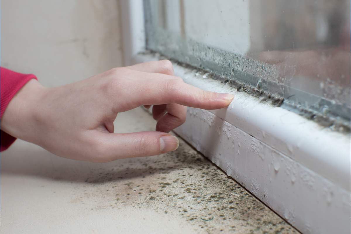 When condensation and mold are formed and how to avoid them