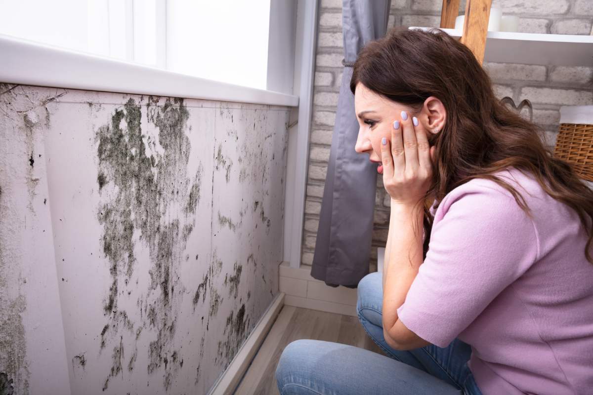 How to eliminate mold from the walls