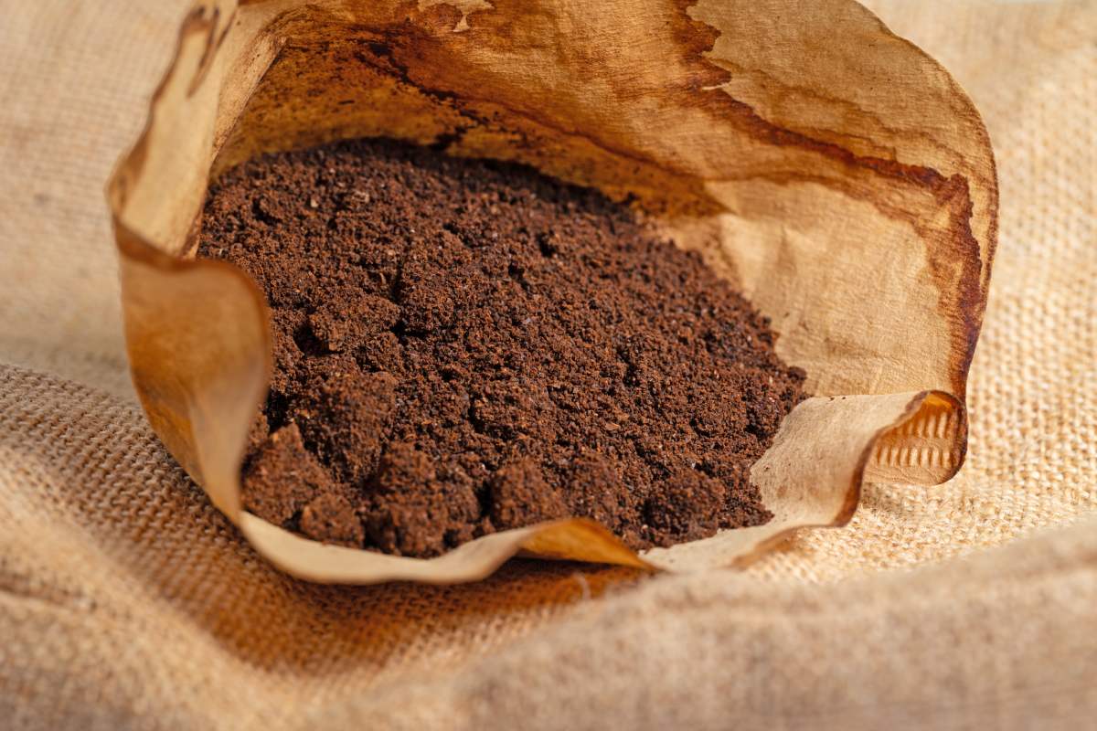 Natural fertilizers for plants