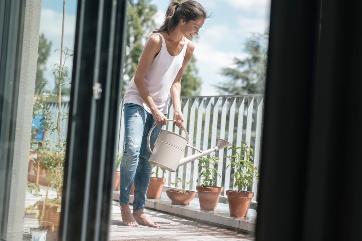 Vase plants on the balcony