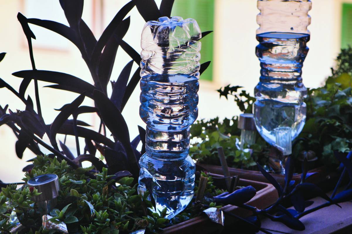 The bottle to water the plants